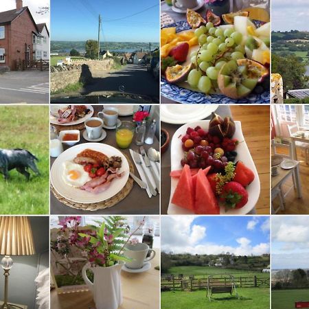 Bed and Breakfast School Farm Blagdon Екстер'єр фото