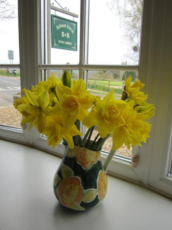 Bed and Breakfast School Farm Blagdon Екстер'єр фото