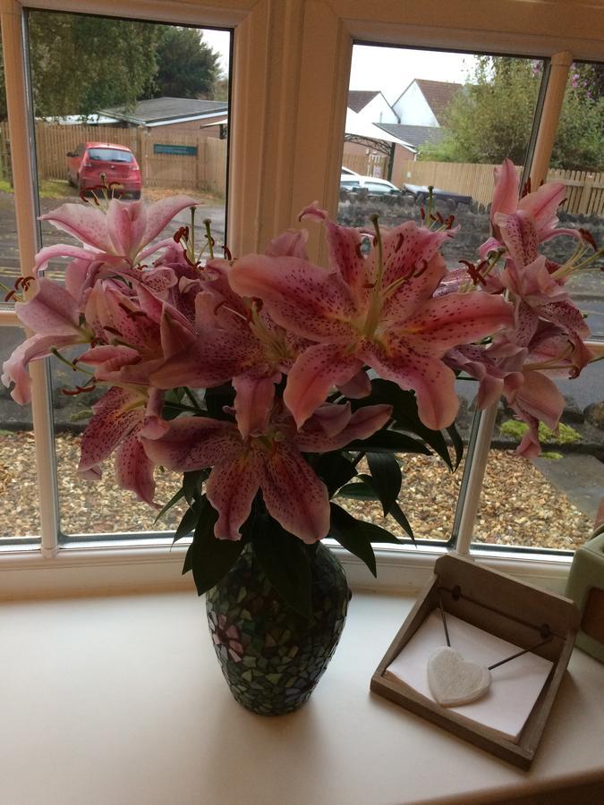 Bed and Breakfast School Farm Blagdon Екстер'єр фото